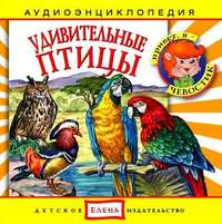 . Удивительные птицы