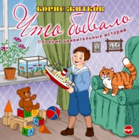 Борис Житков. Что бывало