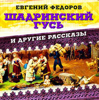 Евгений Александрович Федоров. Шадринский гусь и другие рассказы
