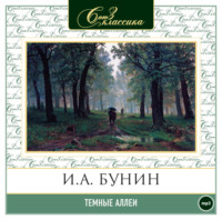 . Темные аллеи
