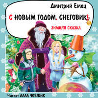 . С Новым годом, снеговик!