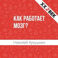 Николай Кукушкин. Как работает мозг?
