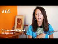 Евгения Тимонова. Страшнее кошки зверя нет