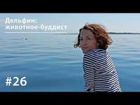 . Дельфин: животное-буддист