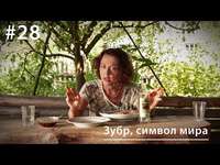 . Зубр, символ мира