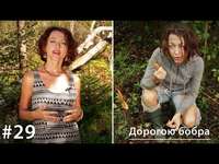 Евгения Тимонова. Дорогою бобра