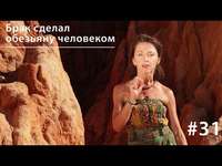 . Брак сделал обезьяну человеком