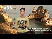 . Изобретено природой, запатентовано человеком