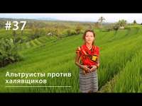 . Давайте по справедливости: альтруисты против халявщиков