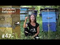 Евгения Тимонова. Зачем вы, бабушки?
