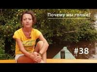 . Почему мы голые?
