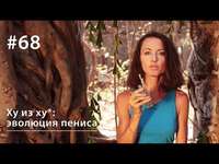 . Ху из хy*: эволюция пениса
