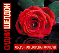 . Оборотная сторона полуночи