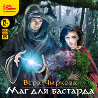 . Маг для бастарда