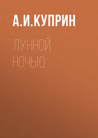 . Лунной ночью