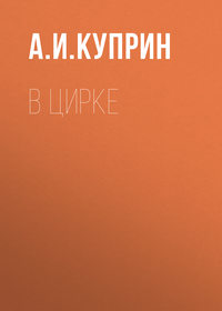 . В цирке