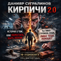 . Кирпичи 2.0