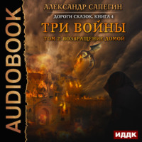 . Три войны. том 2: Возвращение домой