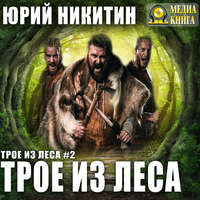 . Трое из Леса