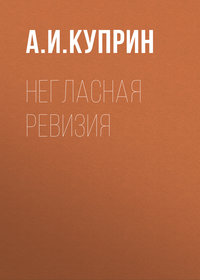 . Негласная ревизия