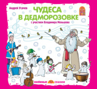 . Чудеса в Дедморозовке (спектакль)