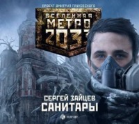 Сергей Зайцев. Санитары