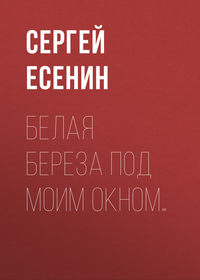 . Белая береза под моим окном…