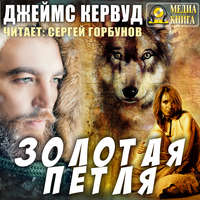 . Золотая петля