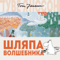 . Шляпа волшебника