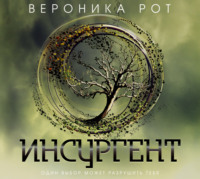 . Инсургент