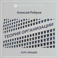 Алексей Ребров. 6.2. Проблема границ организации