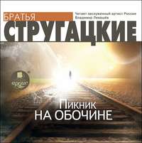 . Пикник на обочине