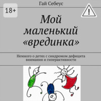 Гай Себеус. Мой маленький «врединка». Немного о детях с синдромом дефицита внимания и гиперактивности
