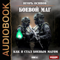 . Как я стал боевым магом