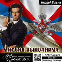Андрей Александрович Ильин. Миссия выполнима