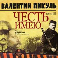 . Честь имею. Часть 3. При исполнении долга