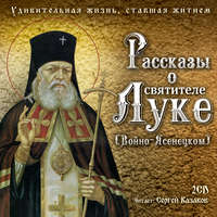 Святитель Лука Крымский (Войно-Ясенецкий). Рассказы о святителе Луке (Войно-Ясенецком). Удивительная жизнь, ставшая житием