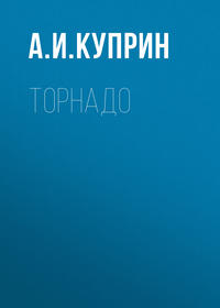 . Торнадо