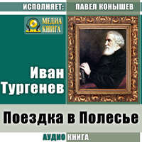 . Поездка в Полесье