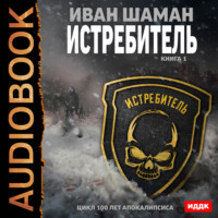 . Истребитель