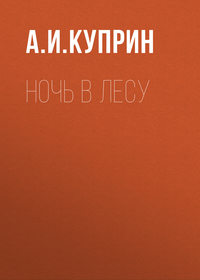. Ночь в лесу