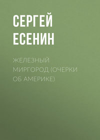 . Железный Миргород (очерки об Америке)