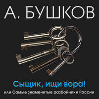 . Сыщик, ищи вора! Или самые знаменитые разбойники России