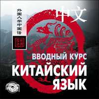 . Китайский язык. Вводный курс