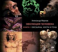 Александр Марков. Обезьяны, кости и гены
