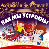Александр Лукин. Как мы устроены