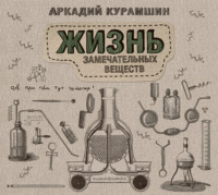 Аркадий Курамшин. Жизнь замечательных веществ