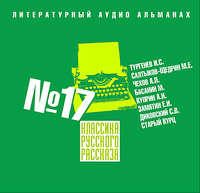 Сборник. Классика русского рассказа № 17