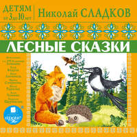 . Детям от 3 до 10 лет. Лесные сказки