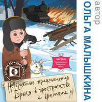 Ольга Малышкина. Книга 6. Брысь, или Приключения одного м.н.с
